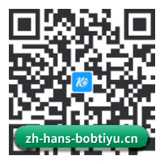 iOS 苹果生态原生版 二维码